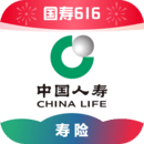 我的不惑青春免费观看